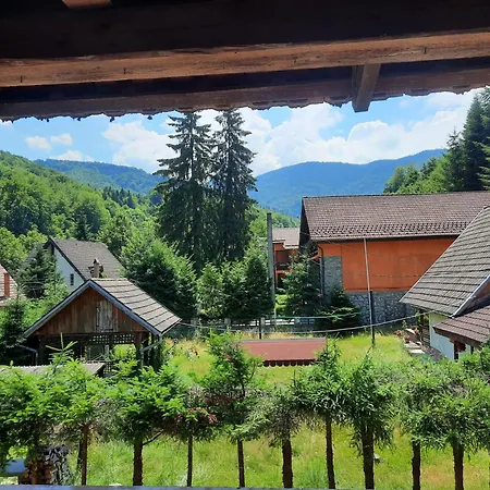 Casa Maia Homestay Cartisoara